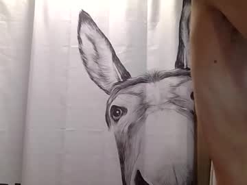 misseeva's chat room