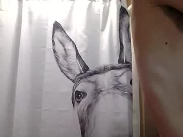 misseeva's chat room