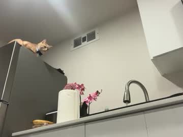 lanademira's chat room