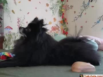 aliceriverscam's chat room