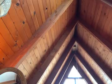 emersoncane's chat room