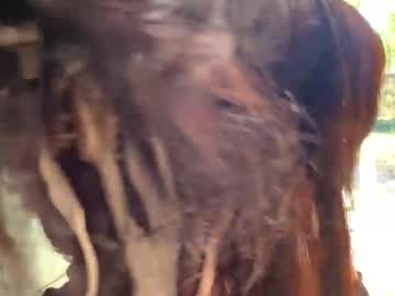 archancel's chat room