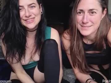 levity_opossum's chat room