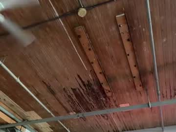 minahoneyy38's chat room