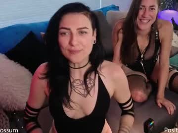 levity_opossum's chat room