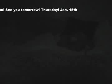 eatmygingersnapps's chat room