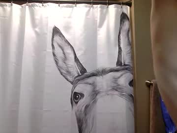 misseeva's chat room