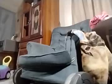 rustyshackelford1902's chat room