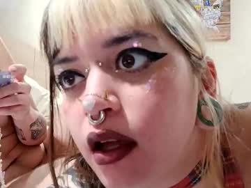 swagkitten's chat room