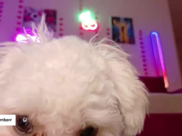 ambermilana's chat room