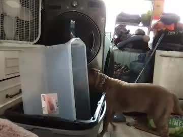 browneyedlady88's chat room