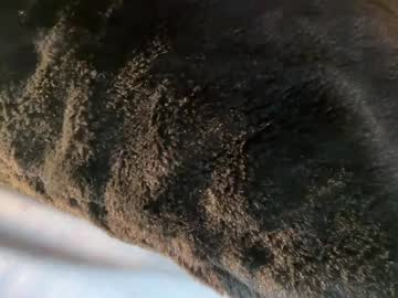 bonnettbonett's chat room