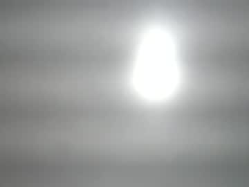 carleyquinn42183's chat room