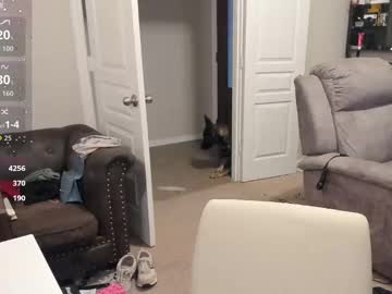 southerbunny's chat room