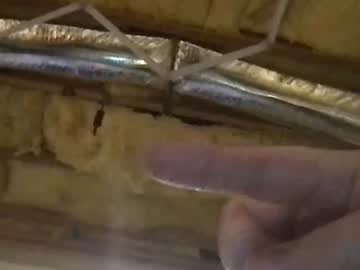 avgmomanddad's chat room