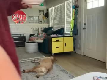 dreamyriri's chat room