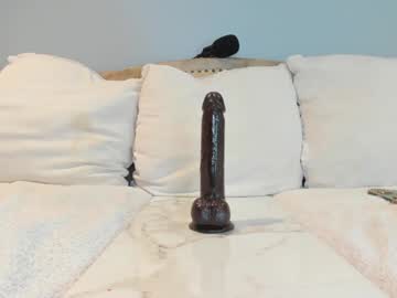 eatmygingersnapps's chat room