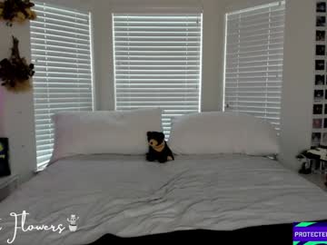 violetttflowers's chat room