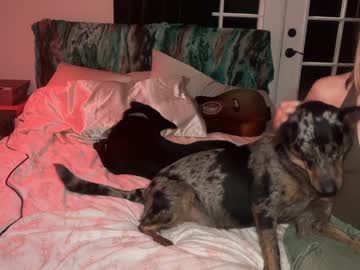 kaileeshy's chat room