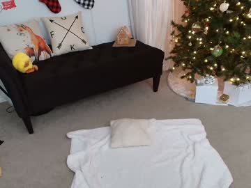 foxy_gamer's chat room