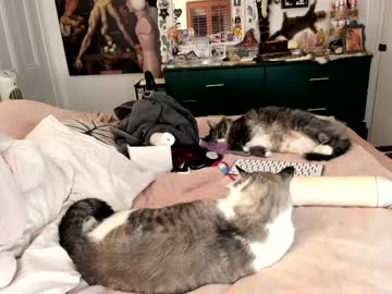 eve003300's chat room