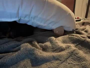 little_lies's chat room