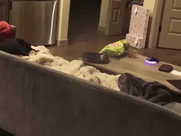 kittyplay3's chat room