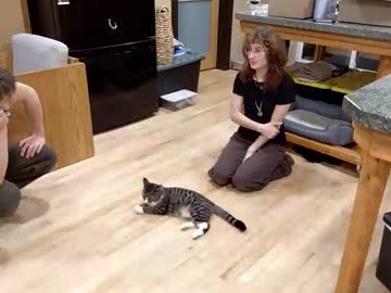 info_chat's chat room