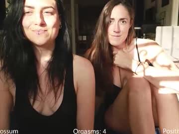 levity_opossum's chat room