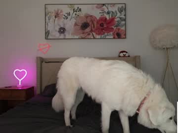 ari_lovexo's chat room