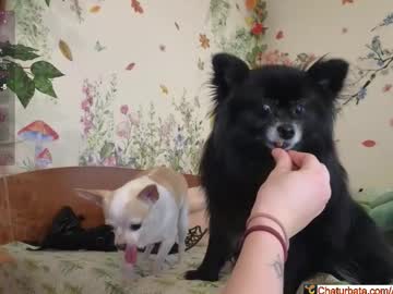 aliceriverscam's chat room