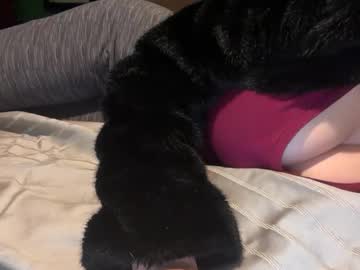 blondebunny999's chat room