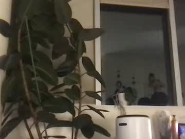 yiddikitti's chat room