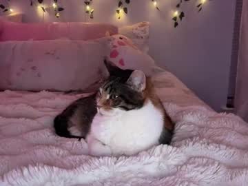 jocelyynn's chat room