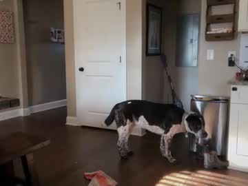 bendlikebecks's chat room