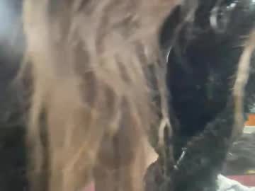 mysteriousmadam_'s chat room