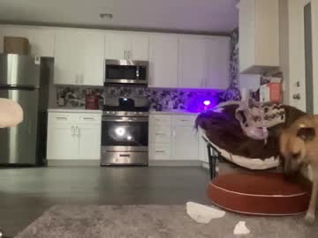 thebabybvip's chat room