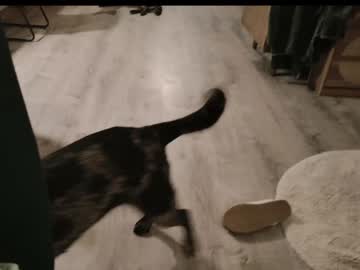 kaileeshy's chat room