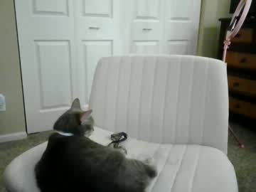 luckyducky02's chat room