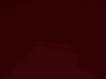 avaowenss's chat room