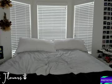 violetttflowers's chat room