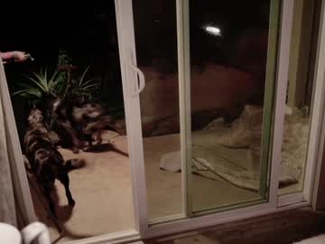 kaileeshy's chat room