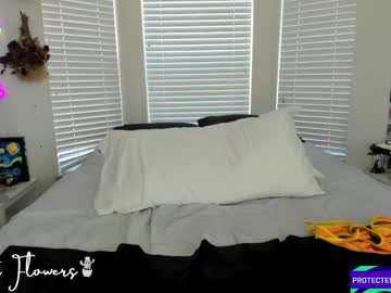 violetttflowers's chat room