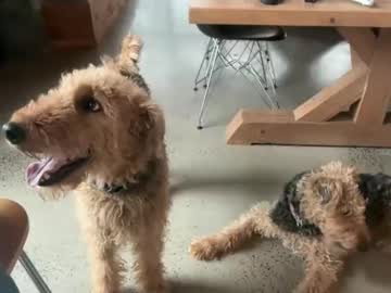 peacheekitty's chat room