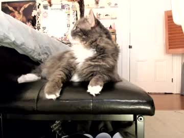 eve003300's chat room