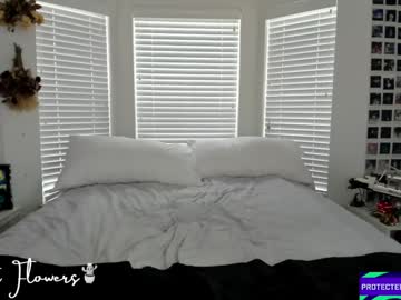 violetttflowers's chat room