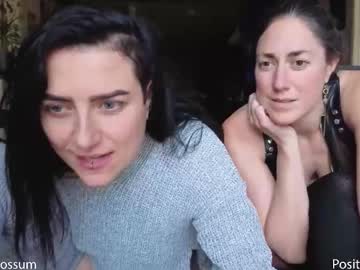 levity_opossum's chat room