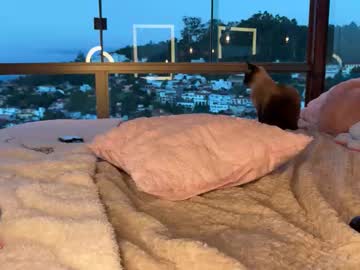 christinasage's chat room