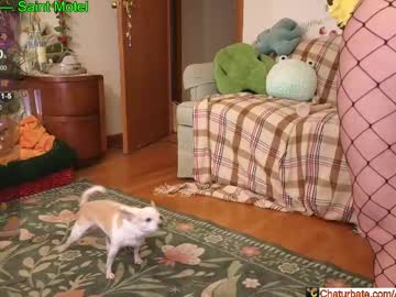 aliceriverscam's chat room