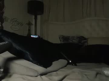 avalonnfoxx's chat room